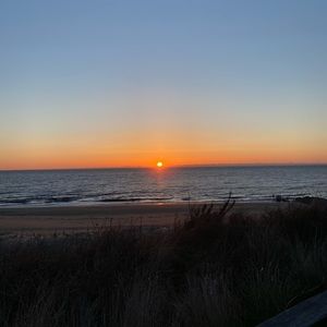 Meet your Posher, Madeline